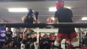 BAC22E04-F2C0-45E8-A76A-A8C45E798B14